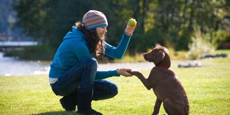 Understanding Your Pet’s Behavior